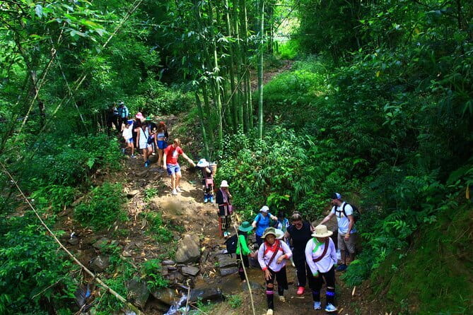 From Sapa: 2 Days 1 Night Trek Over Night At Homestay - Morning Pickup in Sapa: Small Group, Real Guide Time