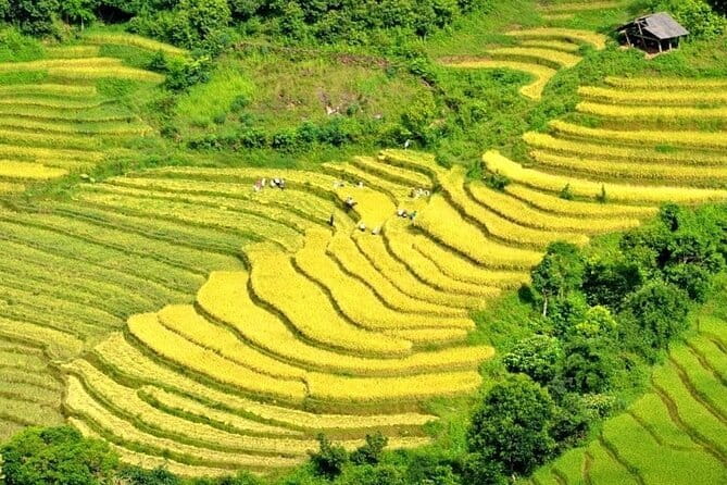 From Sapa: 2 Days 1 Night Trek Over Night At Homestay - Day 1: Y Linh Ho and Lao Chai Before You Reach Ta Van