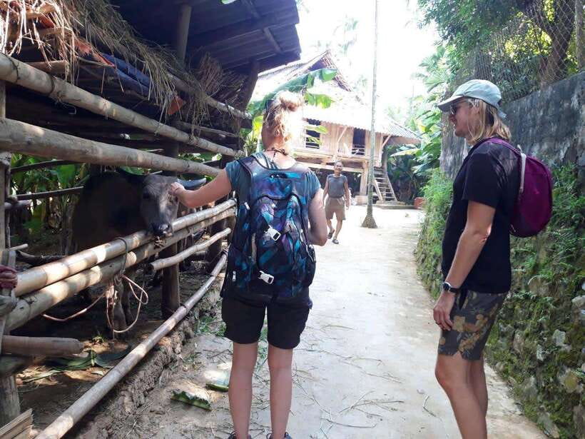 From Sapa: Cat Cat & Sin Chai Villages Private Trekking Tour - Price and value: what $42 buys you