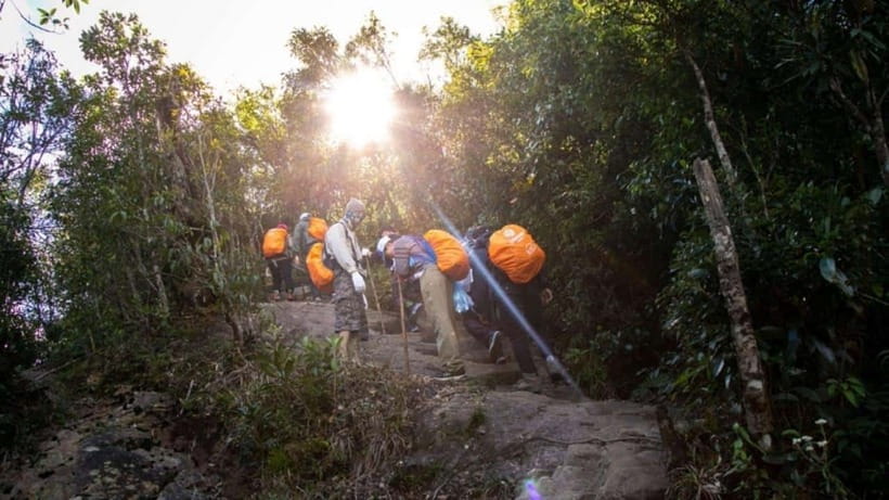 From Sapa: Full-Day Fansipan Peak Trekking Tour - Why Fansipan Trek Feels Like a Real Win, Not a Check-the-Box Day