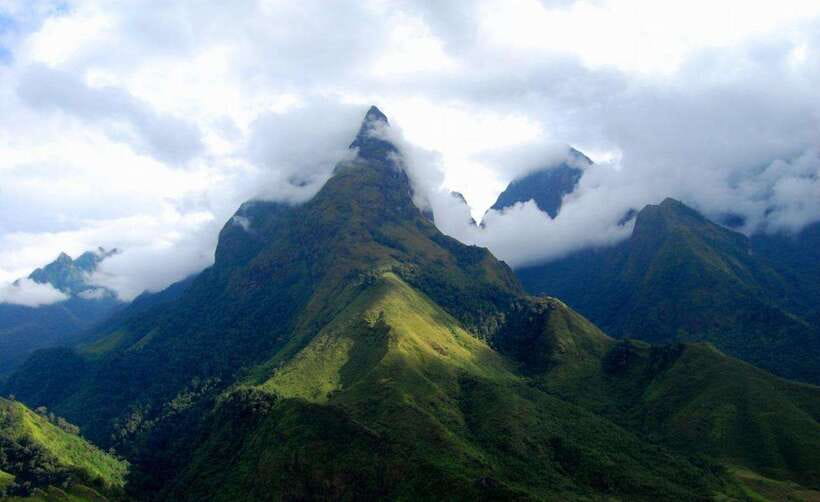 From Sapa: Full-Day Fansipan Peak Trekking Tour - Primary Forest Walking for 6 Hours: Pines, Bamboo Groves, and a Steady Burn