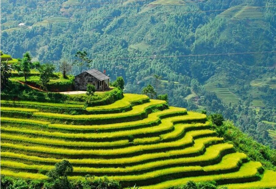 From Sapa: Full-Day Trekking Tour Lao Chai & Ta Van Villages - Key highlights and why they matter