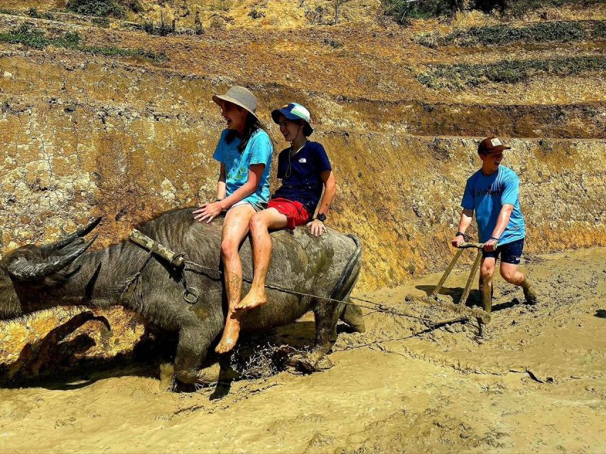 From Sapa: Full-Day Trekking Tour Lao Chai & Ta Van Villages - A classic Sapa route: rice terraces, then village life