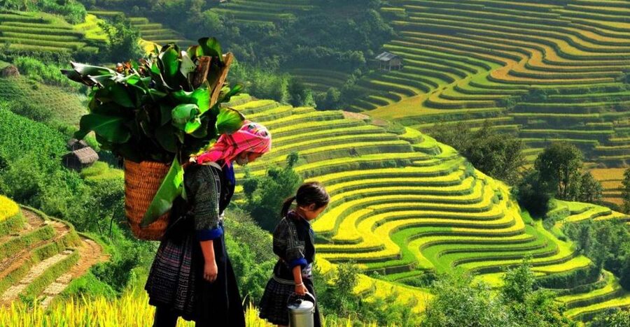 From Sapa: Full-Day Trekking Tour Lao Chai & Ta Van Villages - 8:30 to late morning: Y Linh Ho and the Muong Hoa Stream terraces