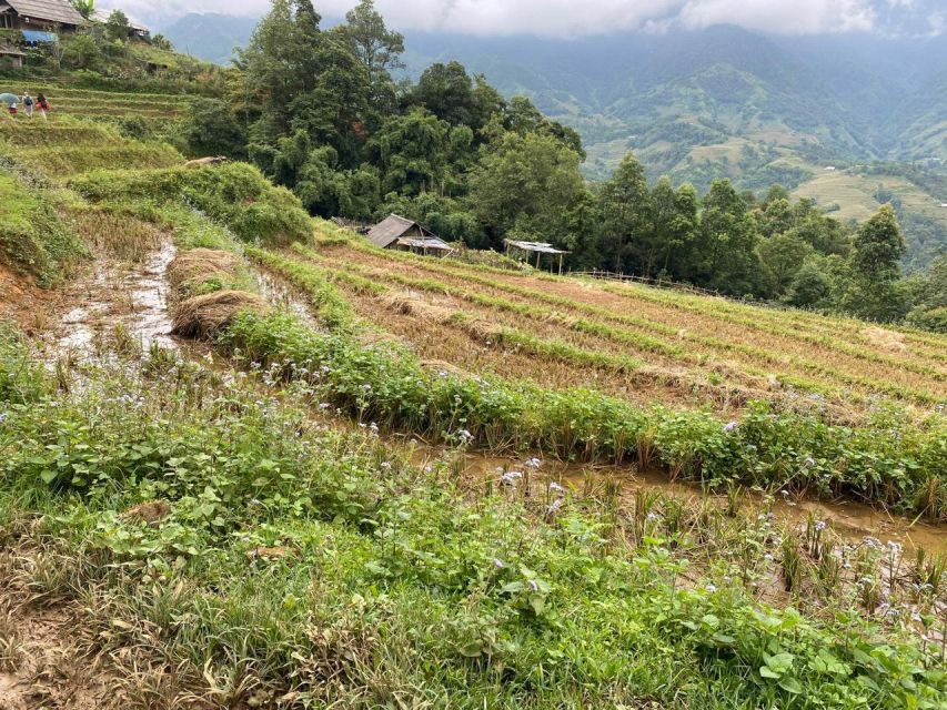 From Sapa: Full-Day Trekking Tour Lao Chai & Ta Van Villages - Lao Chai (Black H’mong) plus Red Dao livelihood: costumes and real routines