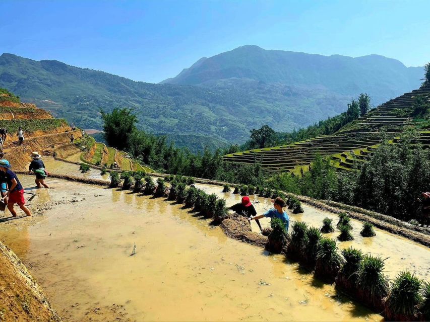 From Sapa: Full-Day Trekking Tour Lao Chai & Ta Van Villages - Lunch around 12:30 and the return walk to the bus