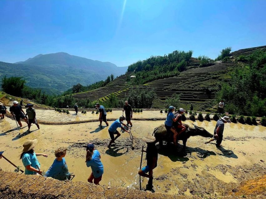 From Sapa: Full-Day Trekking Tour Lao Chai & Ta Van Villages - Mud, boots, and the crowding factor on wet days