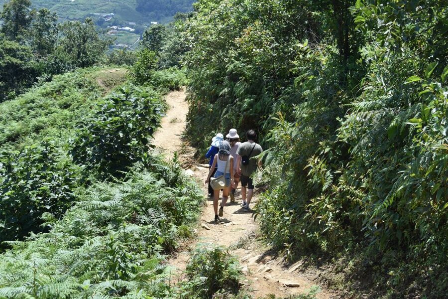 From Sapa: Muong Hoa Valley View & Village Trek 1-Day - Key takeaways before you go