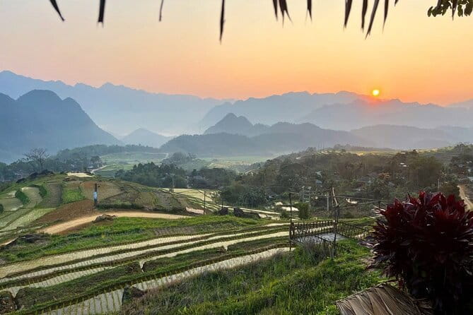 From Sapa: Sapa Trekking Private Tour With Female Ethnic Guide - Sapa trekking for about 4 hours: bamboo, rice terraces, and village paths