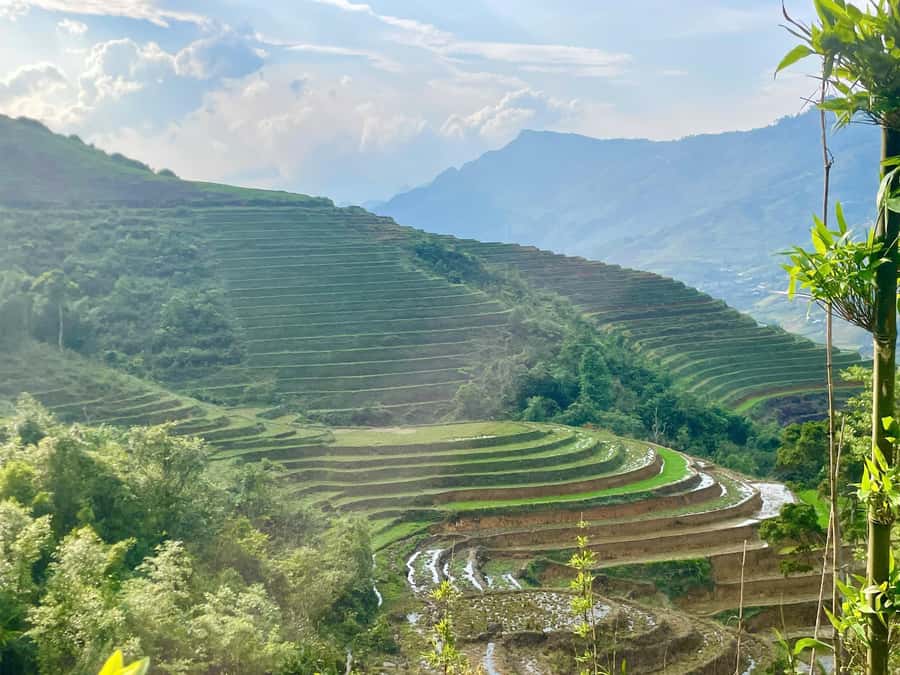 From Sapa: Sapa Trekking Private Tour With Female Guide - Muong Hoa Valley Southeast: Dzay Life and Terraced Views