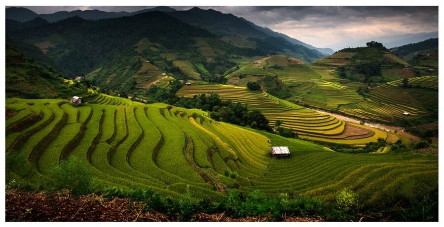 From Sapa: Terrace Fields and Local Villages Trek with Lunch - Key Things I’d Notice First