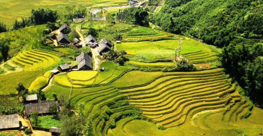 From Sapa: Terrace Fields and Local Villages Trek with Lunch - Sapa Terraces With a Local Ethnic Guide