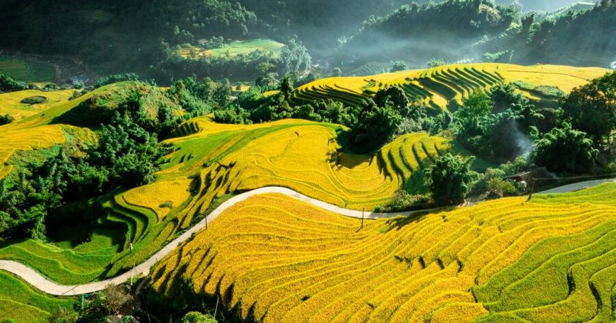 From Sapa: Terrace Fields and Local Villages Trek with Lunch - Lunch Break at a Local Restaurant