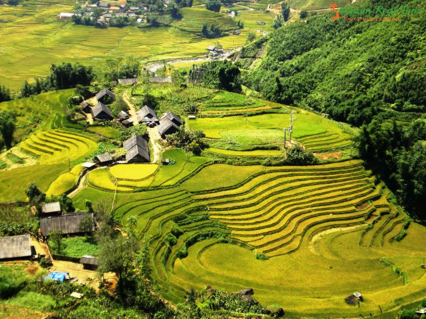 From Sapa: Terrace Fields and Local Villages Trek with Lunch - Who This Trek Suits (and Who Should Rethink)
