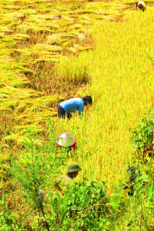 From Sapa: Waterfalls, Trekking and Tribal Villages Tour - Silver and Love Waterfalls: the start that sets the tone