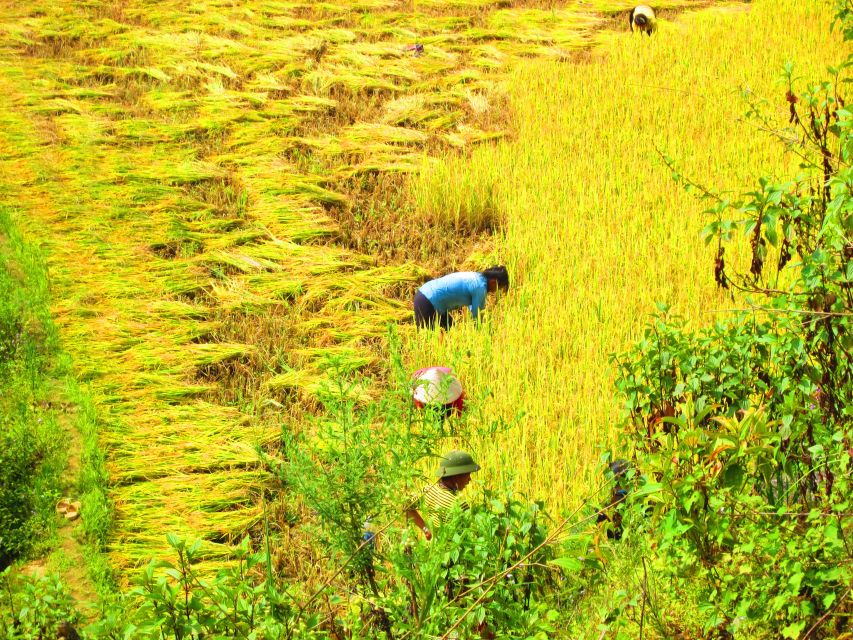 From Sapa: Waterfalls, Trekking and Tribal Villages Tour - Picnic lunch with locals: where the day turns personal