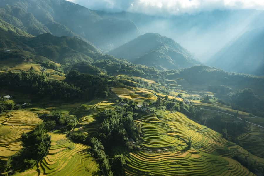 From Sapa: Y Linh Ho, Lao Chai & Ta Van Trek Day Tour - Trekking Muong Hoa Valley: Rice Terraces, Stream Walks, and Road Edges