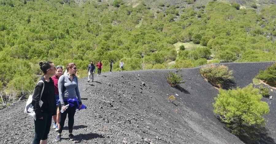 From Taormina: Half-Day Mount Etna Morning Trek - The Lava Cave Visit: When the Volcano Goes Underground