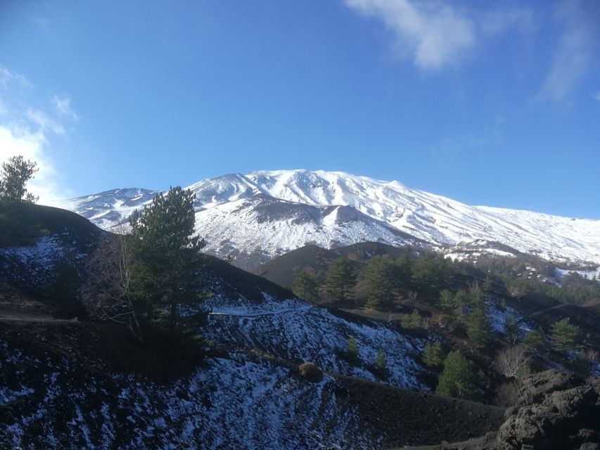 From Taormina: Half-Day Mount Etna Morning Trek - Who This Etna Morning Trek Is Best For