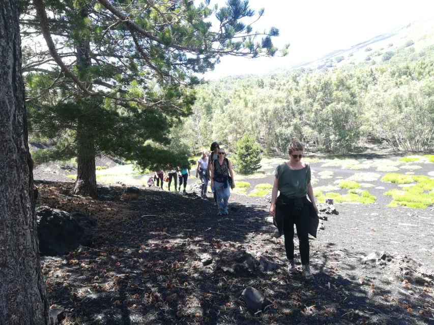 From Taormina: Half-Day Mount Etna Morning Trek - Should You Book the Half-Day Mount Etna Morning Trek From Taormina?
