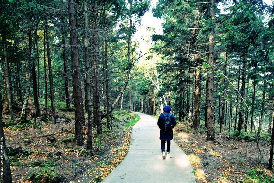 From Wroclaw: Full-Day Stolowe Mountains Trekking Tour - Kudowa Zdroj Spa Resort Walk: Park Stroll and Spring Tasting