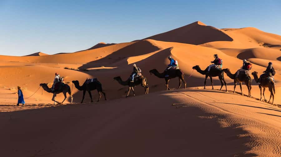 From Zagora: 3-Desert Tour to Erg Chigaga Dunes & Caml Trek - Guide and Camp Service: Why It Can Make or Break the Mood