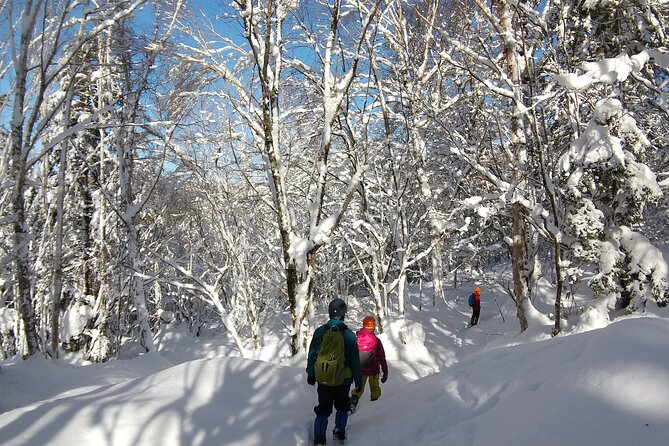 Frozen fall trekking - What 8 Hours Really Includes (and How to Pace Yourself)