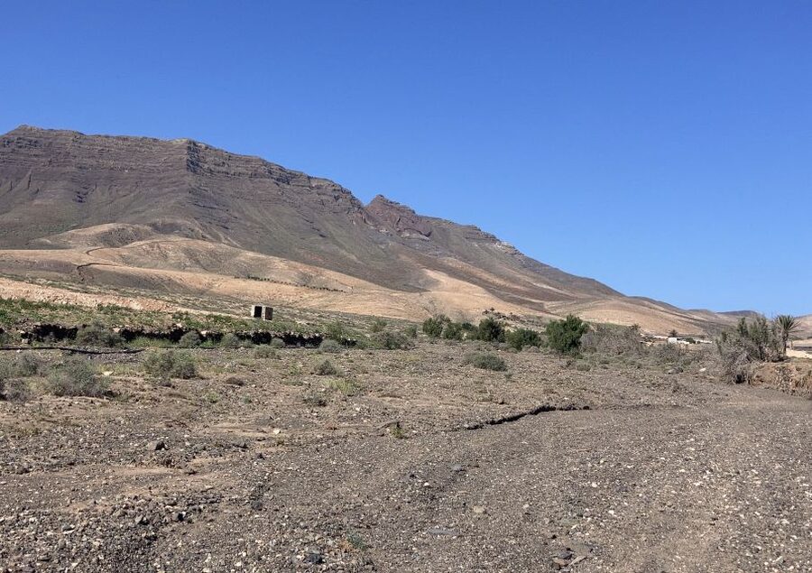 Fuerteventura: Guided Trekking Tour with Island Goats - The hike itself: 8 km over rough, medium terrain