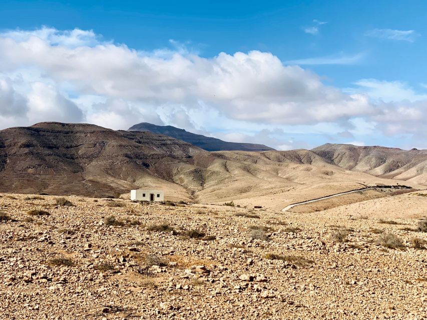 Fuerteventura: Guided Trekking Tour with Island Goats - What you’ll see along the way (and why it’s worth it)