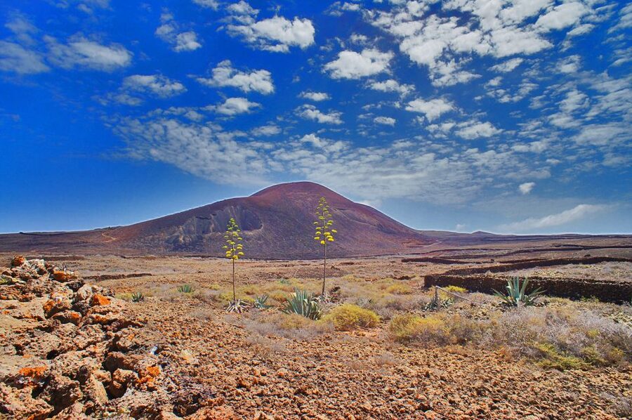 Fuerteventura: Trekking Tour Through the North of the Island - Key highlights you’ll care about