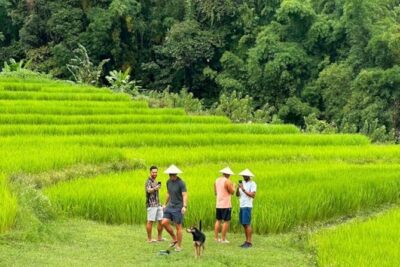Full-Day Doi Inthanon National Park Tour with Trek and Pagodas - Doi Inthanon Summit: where the view can be worth it, or not