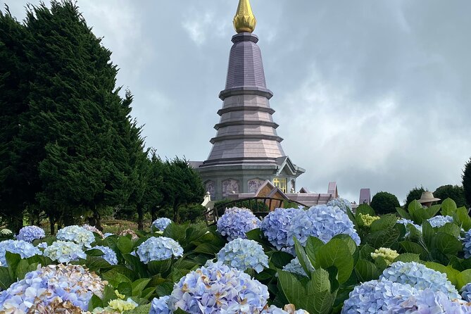 Full-Day Doi Inthanon National Park Tour with Trek and Pagodas - Hmong Market lunch and a hill-tribe visit that adds texture