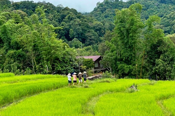 Full-Day Doi Inthanon National Park Tour with Trek and Pagodas - Coffee at Baan Mae Klang Luang: a small break that keeps energy up