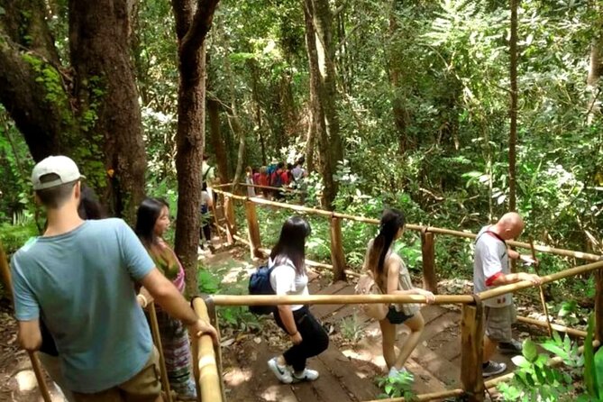 Full-Day Doi Inthanon National Park Tour with Trek and Pagodas - Price and value: is $61.74 reasonable for a full day?