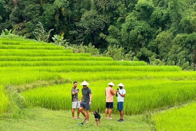Full-Day Doi Inthanon National Park Tour with Trek and Pagodas - Doi Inthanon Summit: where the view can be worth it, or not