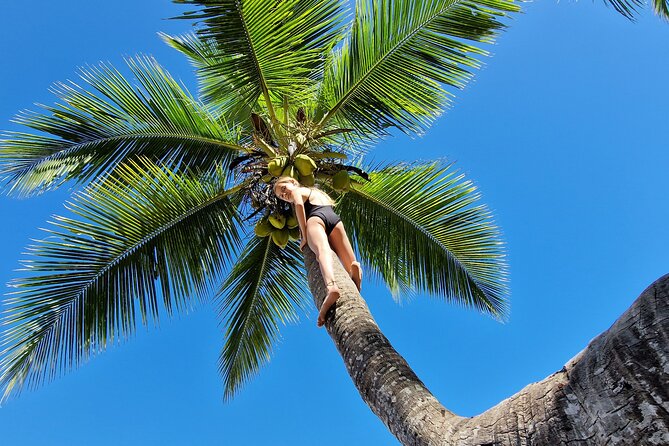 Full-day jungle trek on Nosy Komba (Lemur island) with the Black Lemur Sanctuary - Black Lemur Sanctuary: calm, close encounters (with rules you’ll want to follow)
