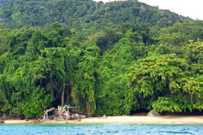 Full-day jungle trek on Nosy Komba (Lemur island) with the Black Lemur Sanctuary - The summit climb to 622 meters: where the day gets real