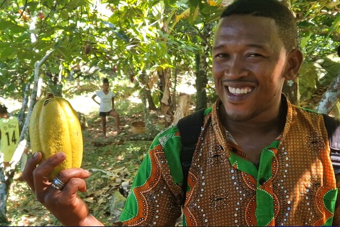 Full-day jungle trek on Nosy Komba (Lemur island) with the Black Lemur Sanctuary - Local guides, private pace, and why your timing feels different