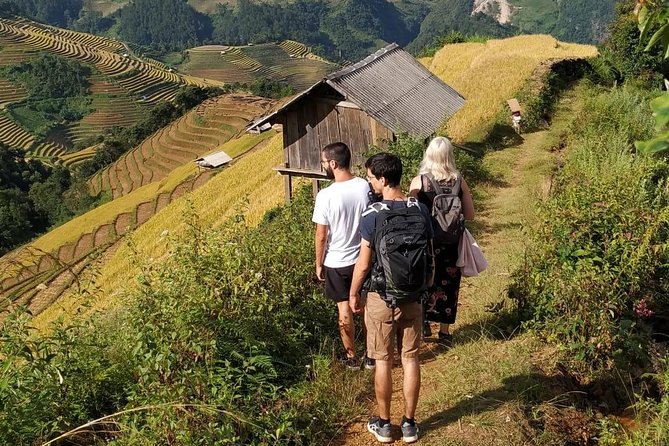 Full Day Private Trekking Mu Cang Chai - Why Mu Cang Chai Rice Terraces Feel Different in Real Life