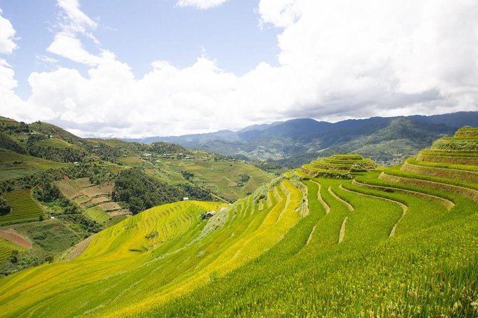 Full Day Private Trekking Mu Cang Chai - Đồi Mâm Xôi and the Viewpoints You’ll Want to Earn