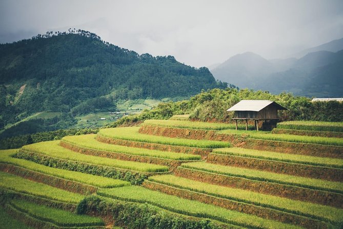 Full Day Private Trekking Mu Cang Chai - Headwater and Waterfall: A Scenic Break from Terrace Views