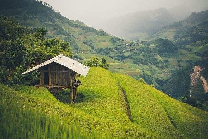 Full Day Private Trekking Mu Cang Chai - Lunch in Nature: Simple, Included, and Actually Timed Right