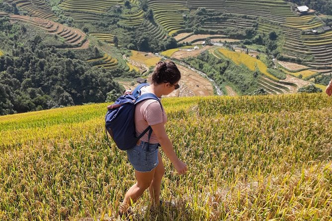 Full Day Private Trekking Mu Cang Chai - Private Trekking with a Small Group: The Real Value