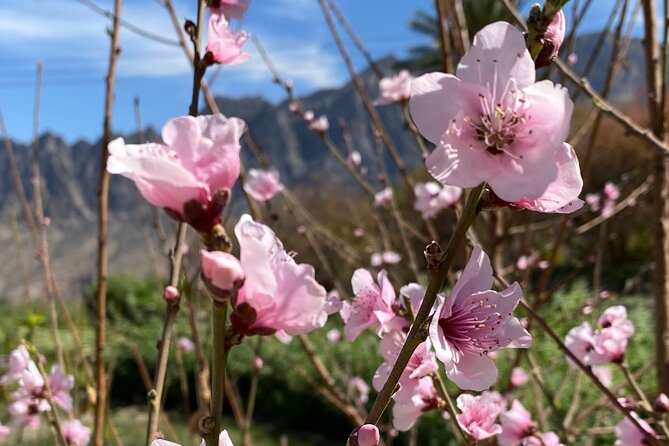 Full Day Tour from Wakan to Jebel Akhdar Trekking - Logistics that matter on a day like this