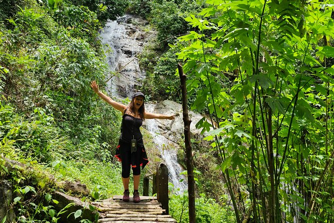 Full-Day Trekking and Sightseeing Tour in Mae Kampong - Rehabilitated gibbons in the forest: spotting them and why it matters
