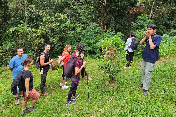 Full-Day Trekking and Sightseeing Tour in Mae Kampong - Lunch and the human speed factor