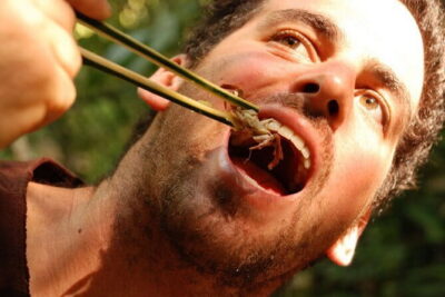 Full Day Trekking & bamboo cooking Tour in Chiang Rai - Into Mueang Chiang Rai Park: where the trek begins