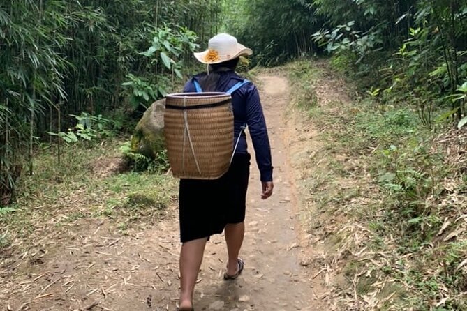 Full Day Trekking in Sapa - Why a Sapa village trek beats the big-track version