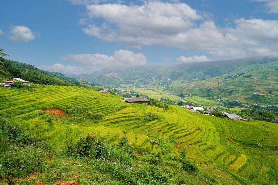 Full Day Trekking Lao Chai-Ta Van and Cat Cat Village - Key Things You’ll Notice on This Sa Pa Trek