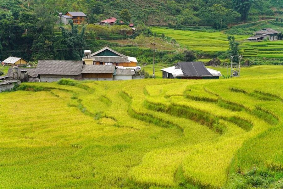 Full Day Trekking Lao Chai-Ta Van and Cat Cat Village - Afternoon Trek to Cat Cat: Down to the Valley, Up to the Views